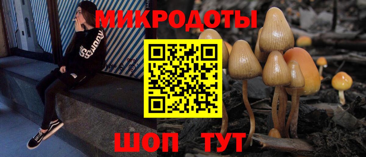 Галлюциногенные грибы Cubensis Мурино